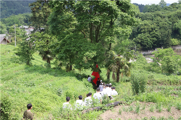 1686532694681729.jpg 3_副本.jpg