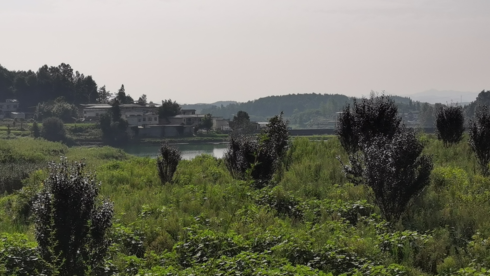 1698129248998362.png 圖片16.png