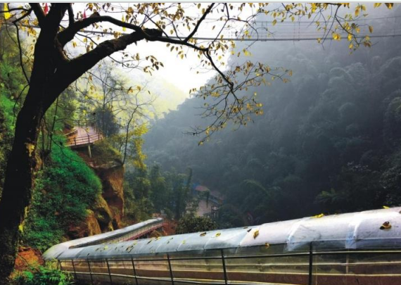 1719366221547781.png image.png