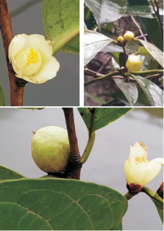 1719366280306752.png image.png