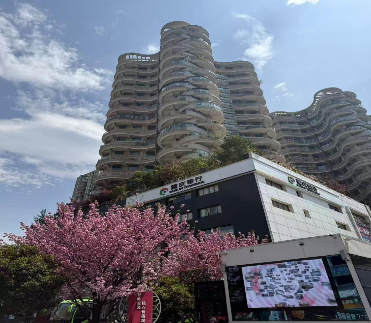 1744875477255958.png 1744875477255958.png