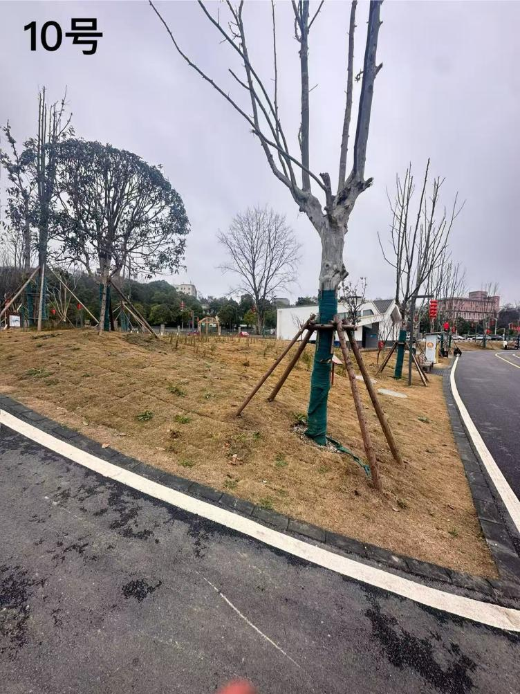 1770711073490400.png 1770711073490400.png