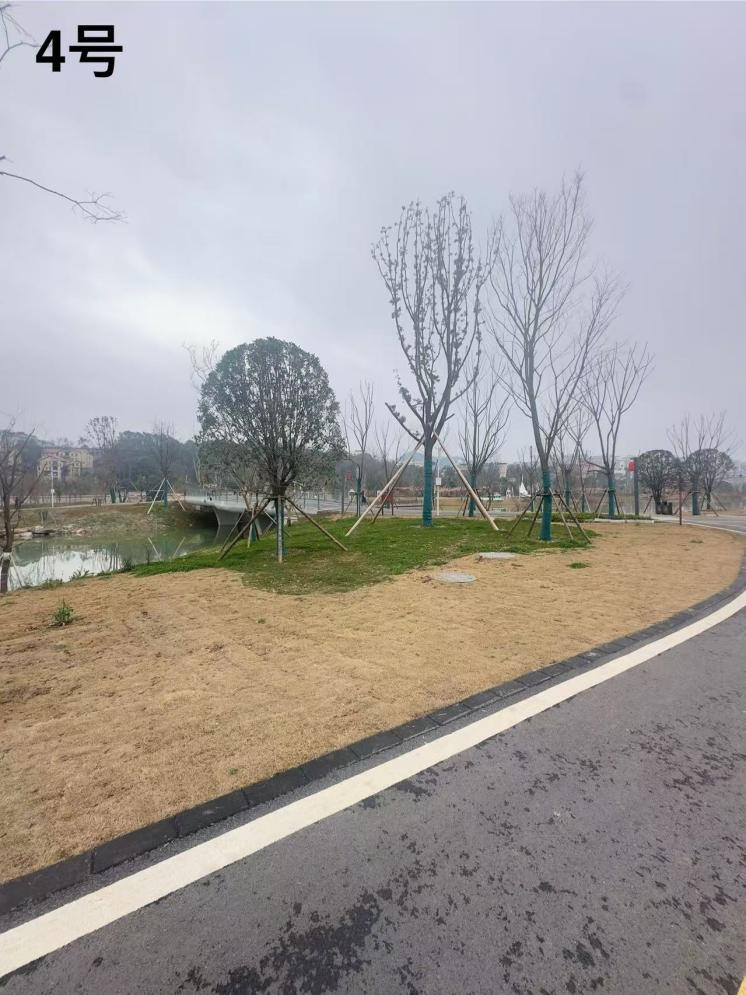 1770711110776212.png 1770711110776212.png