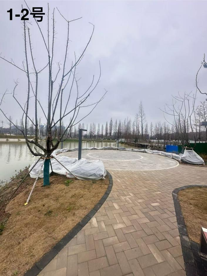 1770711243557692.png 1770711243557692.png