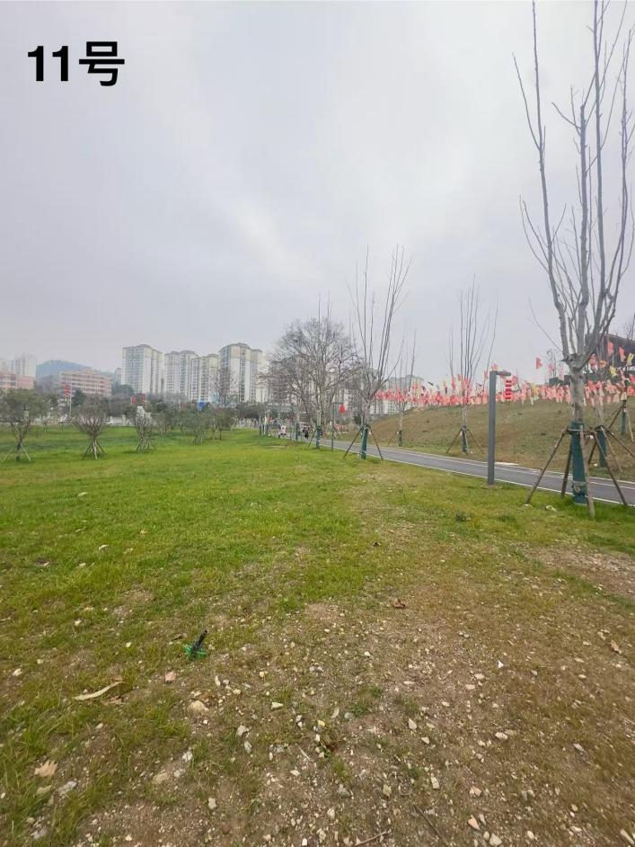 1770711287521779.png 1770711287521779.png