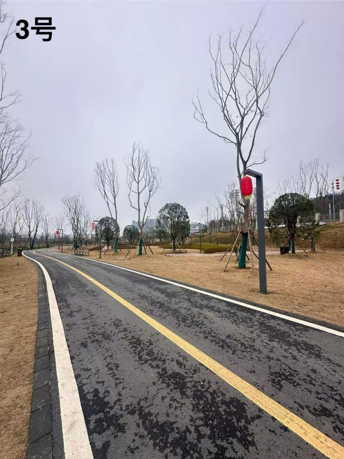 1770711304931736.png 1770711304931736.png