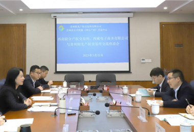 經(jīng)驗交流  共促發(fā)展——西南聯(lián)合產(chǎn)權交易所、西藏電子商務有限公司 與貴州陽光產(chǎn)權交易所交流座談