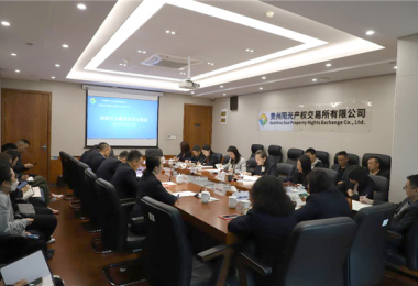踐行總體國家安全觀  筑牢新時代安全防線——貴陽產(chǎn)控集團(tuán)旗下貴州陽光產(chǎn)權(quán)交易所召開國家安全教育活動專題會