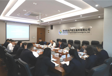 貴州省地方金融監(jiān)管局、貴州證監(jiān)局、貴陽市金融辦到貴州陽光產(chǎn)權(quán)交易所、貴州環(huán)交所開展權(quán)益類交易場所調(diào)研
