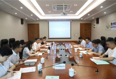 西南聯(lián)合產(chǎn)權(quán)交易所、西藏電子商務(wù)有限公司與貴州陽光產(chǎn)權(quán)交易所交流座談會(huì)