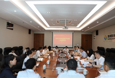 堅(jiān)持自我革命 筑牢發(fā)展基石——貴州陽(yáng)光產(chǎn)權(quán)交易所黨委召開(kāi)2023年上半年全面從嚴(yán)治黨分析研判會(huì)