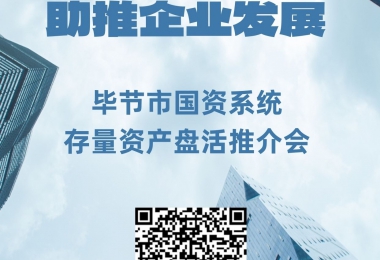 畢節(jié)市國資系統(tǒng)存量資產(chǎn)盤活推介會(huì)