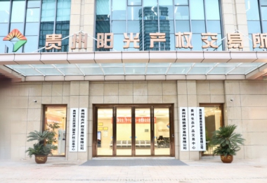 貴州要素商務管理服務有限公司掛牌成立  打造要素市場化服務新高地